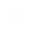 Palm logo